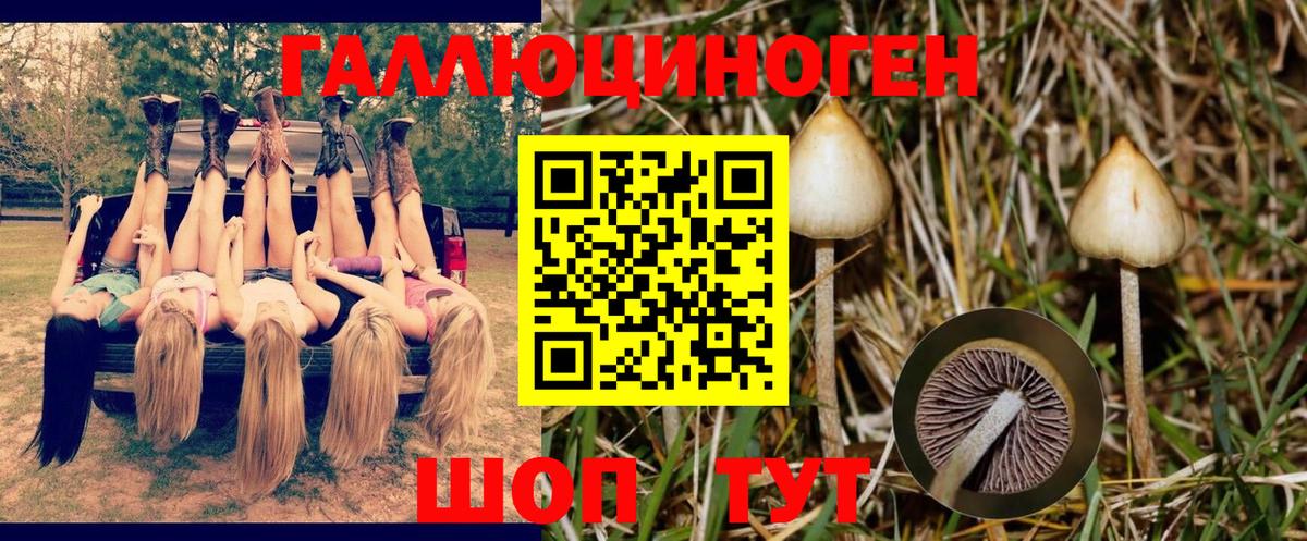 Шали  Галлюциногенные грибы MAGIC MUSHROOMS  Вход с VPN 